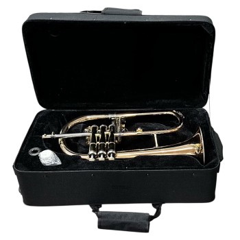 Flugelhorn Dasons Intermediário Rosè com Laqueado Si Bemol
